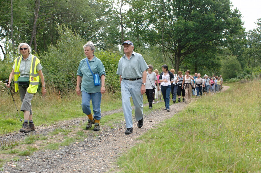 Adults walking along a wooded gravel path behind a leader wearing a yellow high-visibility vest.